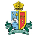 host icon