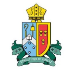 host icon