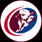 host icon
