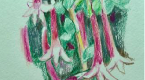 footer_image