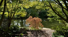 footer_image