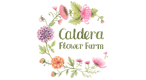 footer_image