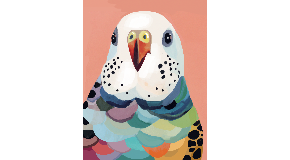 footer_image