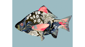 footer_image
