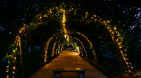 footer_image