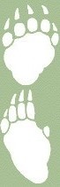 footer_image