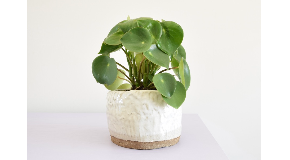 footer_image