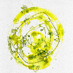 host icon