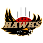 host icon