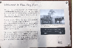 footer_image