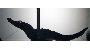 footer_image