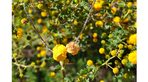footer_image