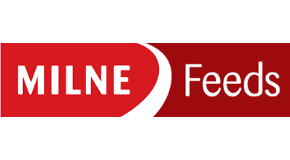 footer_image