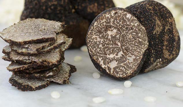 the truth about truffles