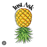 host icon
