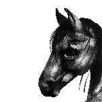 host icon