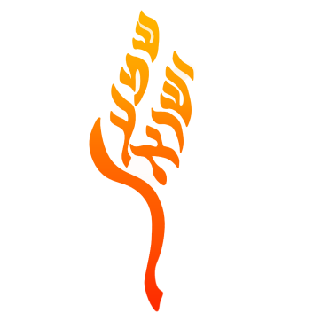footer_image