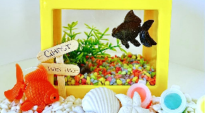footer_image