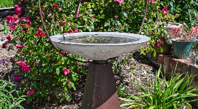 footer_image