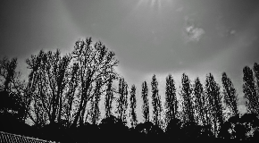 footer_image