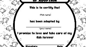 footer_image