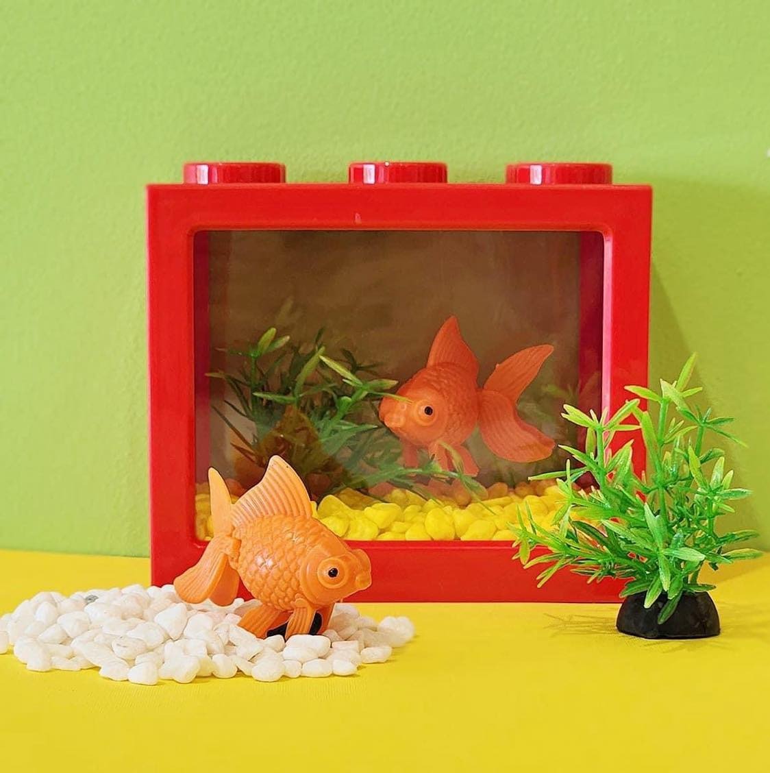 Create You Own Waterless Fish Tank🫟