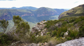 footer_image
