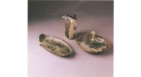 footer_image