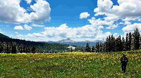 footer_image