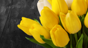 footer_image