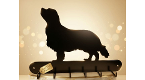 footer_image