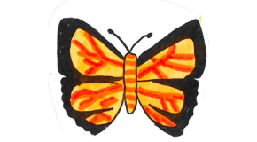 footer_image