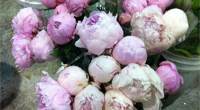 footer_image