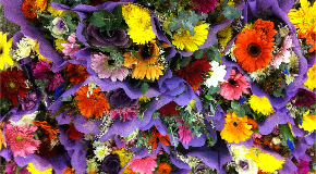 footer_image