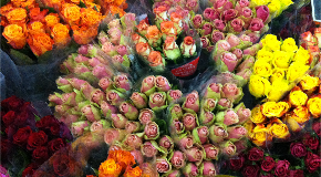 footer_image