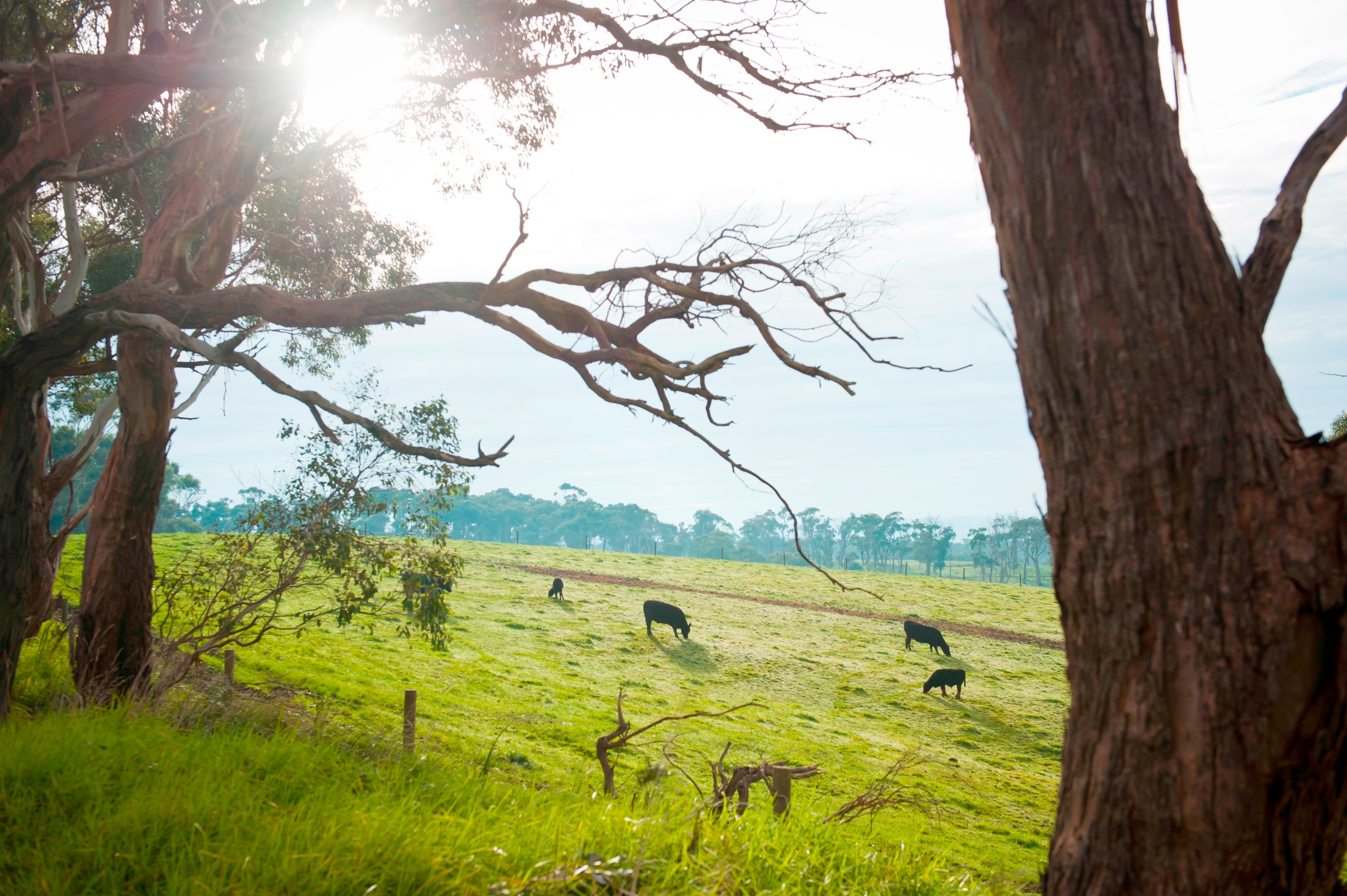 Partnering with Rural Landholders for Nature - Online