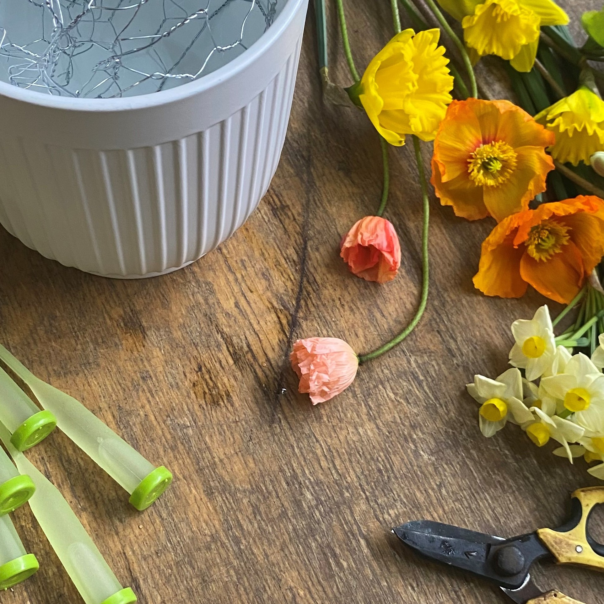 FLORAL KINSHIP Tickets, Smellies Flowers, Geelong TryBooking