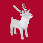 host icon