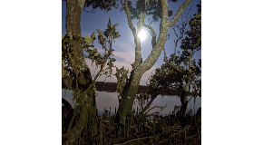 footer_image