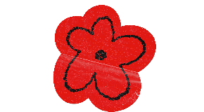 footer_image