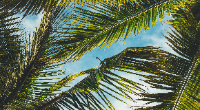 footer_image
