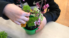 footer_image