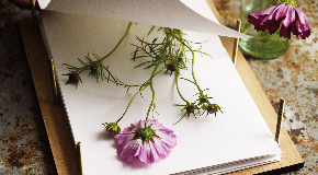 footer_image