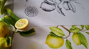 footer_image