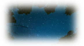footer_image