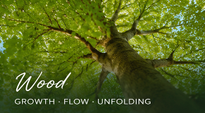 footer_image