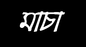 footer_image