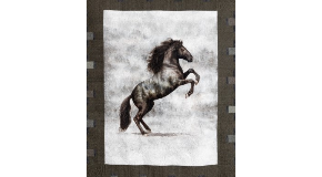 footer_image