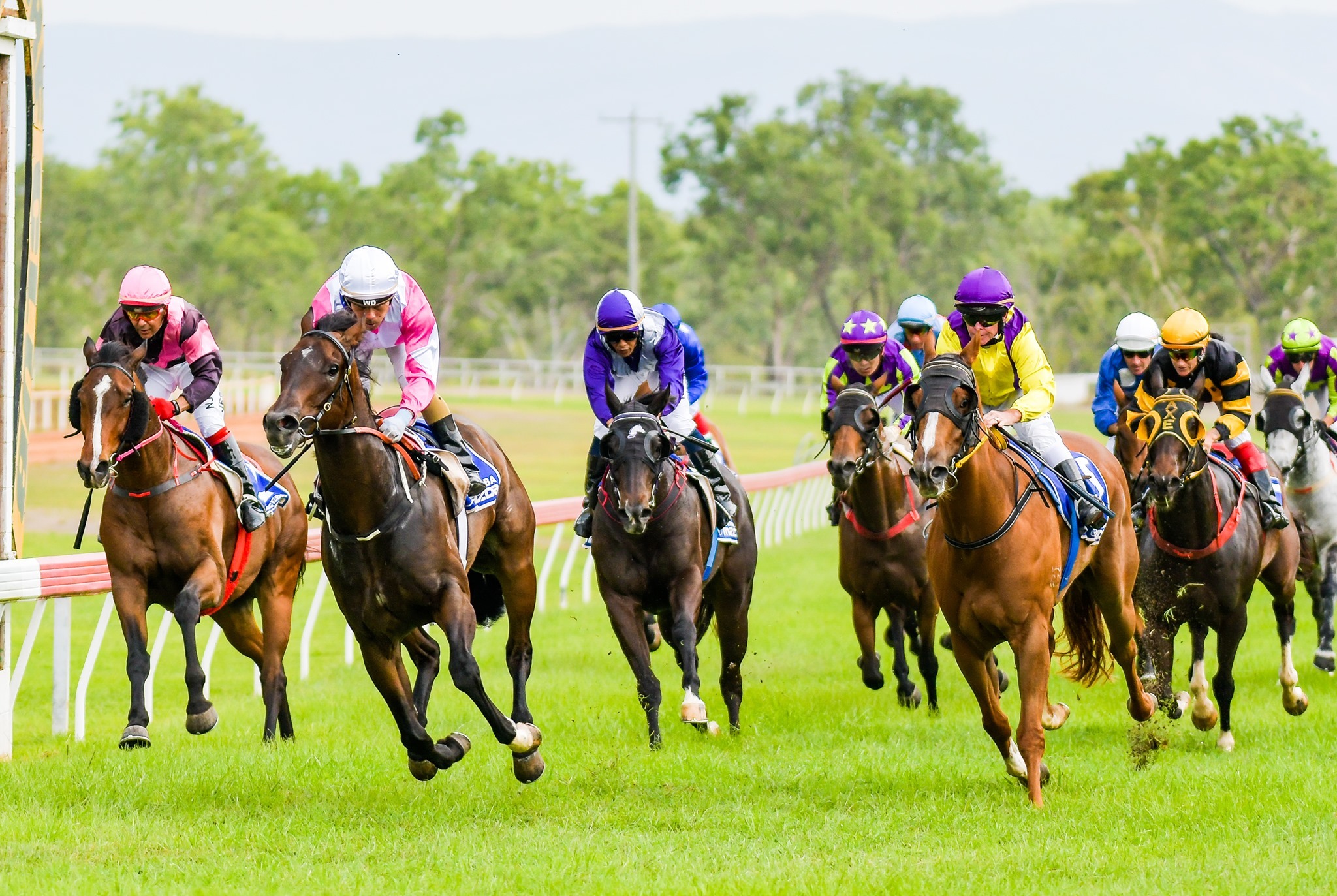 Boxing Day Races 2023 Tickets, Mareeba Turf Club, MAREEBA TryBooking