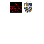 host icon